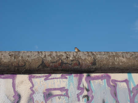 BERLIN, GERMANY - CIRCA JUNE 2016: East side gallery international memorial for freedom is a section of the Berlin Wall with graffiti street art in Friedrichshain Kreuzbergのeditorial素材