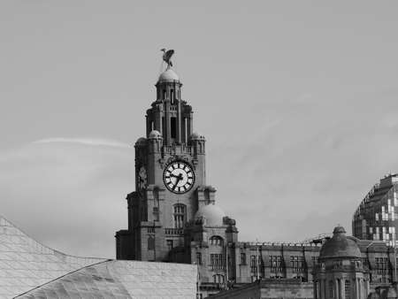 LIVERPOOL, UK - CIRCA JUNE 2016: The Royal Liver Building in black and whiteのeditorial素材
