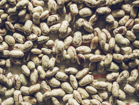 Vintage desaturated Crimson beans (Phaseolus vulgaris) aka borlotti beans or cranberry beans...