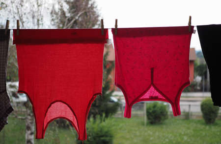 Washing line or clothes line for laundry dryingの写真素材