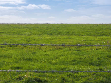 Green grass useful as a background with defocused barbed wire in front, focus on backgroundの写真素材
