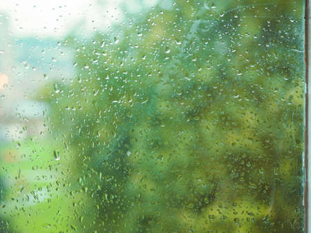 Wet window pane with rain water droplets and greenery background