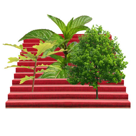 Environmental concept, plants and trees on stairway with red carpet isolated over whiteの写真素材