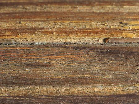 Old weathered wood texture useful as a background