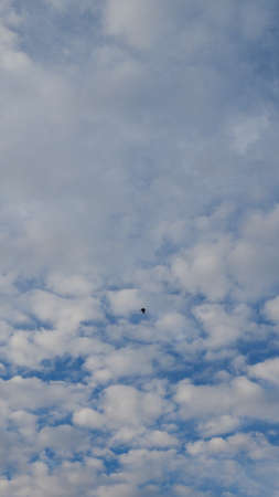 Bird flying over blue sky with clouds - verticalの写真素材