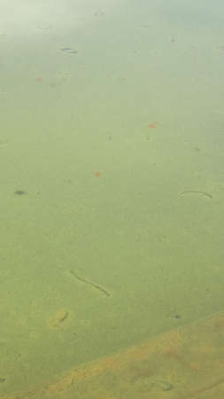 Water waves texture useful as a background - verticalの写真素材