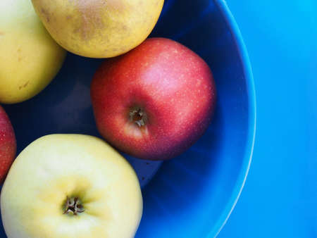 yellow and red apples (Malus domestica) fruit vegetarian food in a bowl over blue backgroundの写真素材