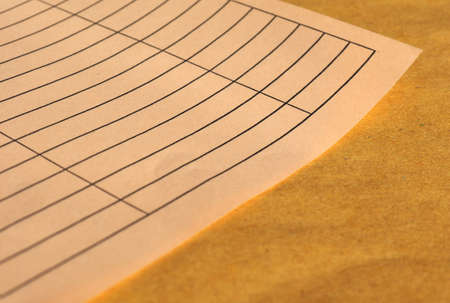blank paper form with rows and columns
