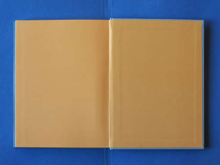 blank open book pages with copy space