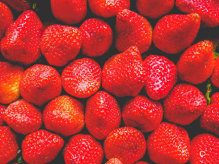 Strawberry fruit aka garden strawberry or fragaria, vintage faded lookの写真素材