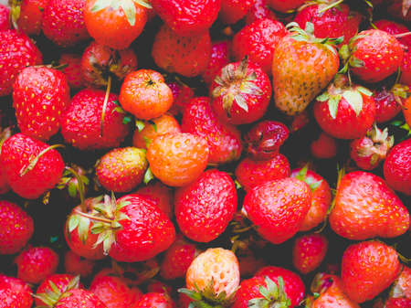 Strawberry fruit vegetarian food, vintage faded lookの写真素材