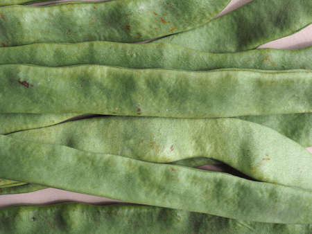 mangetout (meaning Eat All) aka Snow pea or Snap Pea legumes vegetables vegetarian food