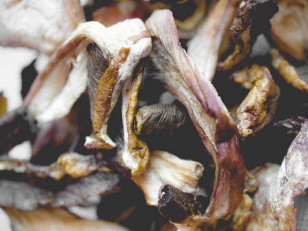 Detail of mushrooms - traditional vegetarian cuisine food, vintage faded lookの写真素材