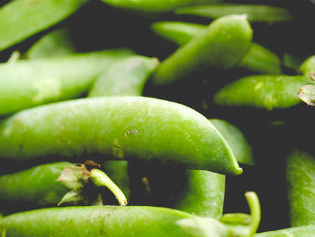 Detail of green pees useful as a background, vintage faded lookの写真素材