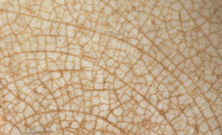 cracked brown ceramic texture useful as a background