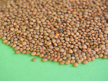 lentils pulse legumes vegetables vegetarian food useful as a background