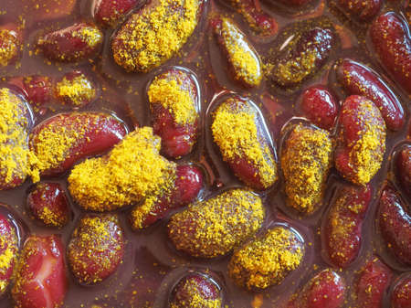red kidney beans curry, variety of common bean (Phaseolus vulgaris) legumes vegetables vegetarian food, Indian cuisineの写真素材