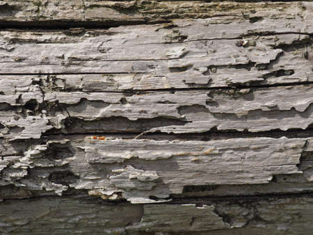 old brown grey wood texture useful as a backgroundの写真素材