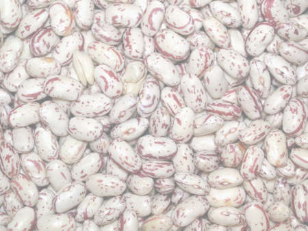 Beans soup salad food useful as, delicate soft faded tone useful as background