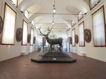 NICHELINO, ITALY - CIRCA SEPTEMBER 2018: Palazzina di caccia di Stupinigi (meaning Hunting residence of Stupinigi) royal hunting lodge interior view with deer statue by sculptor Ladatte (circa 1750)のeditorial素材