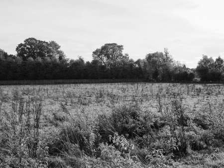CAMBRIDGE, UK - CIRCA OCTOBER 2018: Grantchester Meadows made famous by Pink Floyd Ummagumma album in black and whiteのeditorial素材