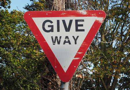 Regulatory signs, give way traffic sign over treesの写真素材