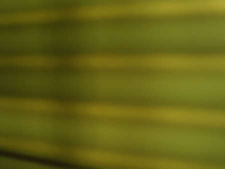 abstract green blur useful as a backgroundの写真素材