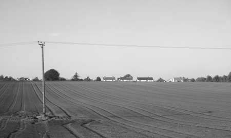 View of the countryside near Cambridge, UK in black and whiteの写真素材