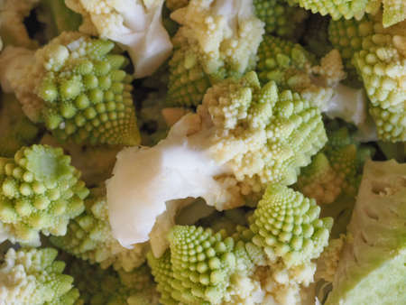 romanesco broccoli (Brassica oleracea) aka Romanesque cauliflower or Buzzy Broc vegetables vegetarian and vegan foodの写真素材