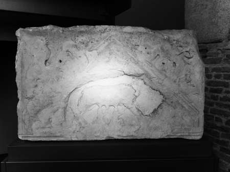 TURIN, ITALY - CIRCA FEBRUARY 2019: Museo Civico d'Arte Antica (Civic Museum of Ancient Art) at Palazzo Madama Royal palace in Piazza Castello in black and whiteのeditorial素材