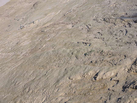 brown mud texture useful as a background