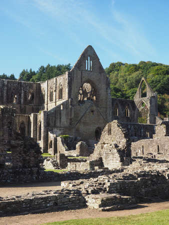 Tintern Abbey (Abaty Tyndyrn in Welsh) ruins in Tintern, UKの写真素材