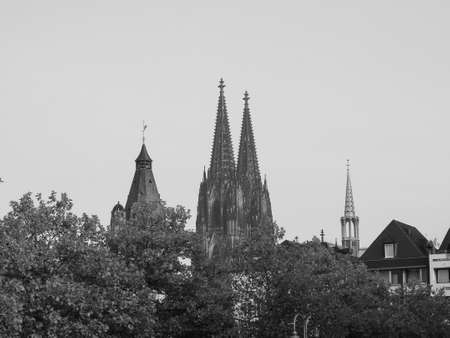 Koelner Dom Hohe Domkirche Sankt Petrus (meaning St Peter Cathedral) gothic church in Koeln, Germany in black and whiteの写真素材