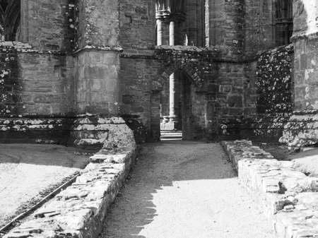 TINTERN, UK - CIRCA SEPTEMBER 2019: Tintern Abbey (Abaty Tyndyrn in Welsh) ruins in black and white