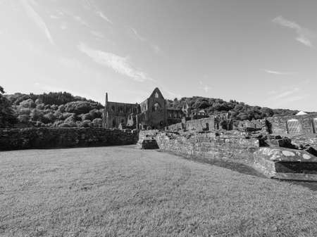 TINTERN, UK - CIRCA SEPTEMBER 2019: Tintern Abbey (Abaty Tyndyrn in Welsh) ruins in black and white
