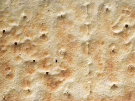 salted cracker biscuit dry backed stapled food