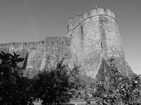 Ruins of Chepstow Castle (Castell Cas-gwent in Welsh) in Chepstow, UK in black and white