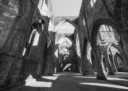 TINTERN, UK - CIRCA SEPTEMBER 2019: Tintern Abbey (Abaty Tyndyrn in Welsh) ruins in black and white