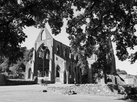 TINTERN, UK - CIRCA SEPTEMBER 2019: Tintern Abbey (Abaty Tyndyrn in Welsh) ruins in black and white