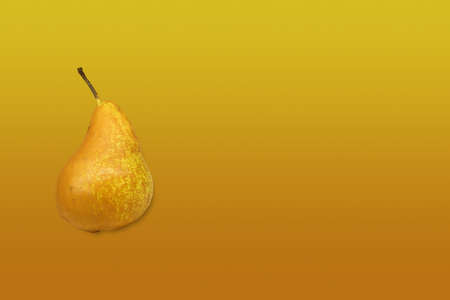 yellow pear fruit over matching colour gradient background with copy spaceの写真素材