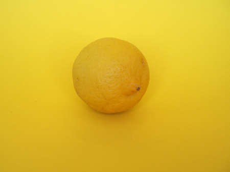 lemon fruit (scientific name Citrus limon) over yellow backgroundの写真素材