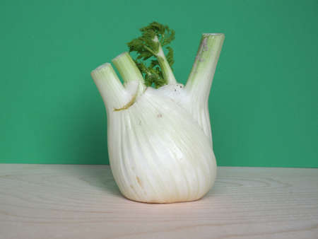 florence fennel (scientific name Foeniculum vulgare aka finocchio) vegetables vegetarian foodの写真素材