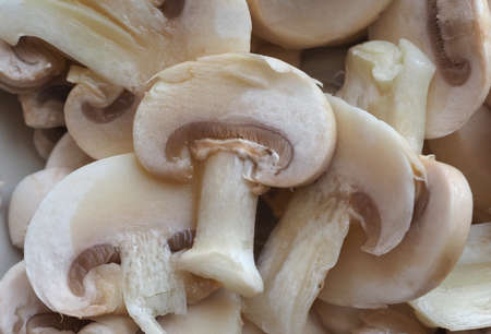 agaricus bisporus aka champignons mushrooms food useful as backgroundの写真素材