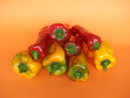 red and yellow peppers (scientific name Capsicum aka bell peppers) vegetables vegetarian food