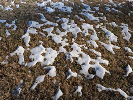 snow melting on a meadow in winter