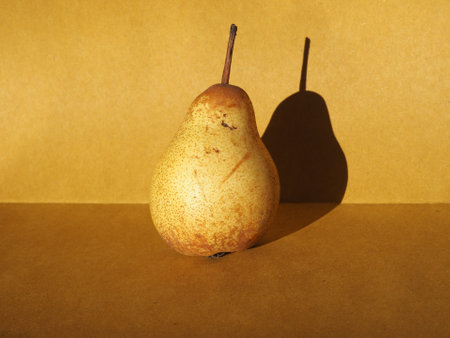 pear still life with a hard shadowの写真素材