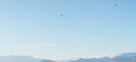 birds flying high in the sky above the mountains with copy spaceの写真素材