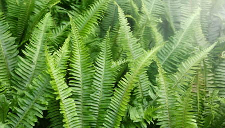 lush fern plants background, AI generated imageの写真素材