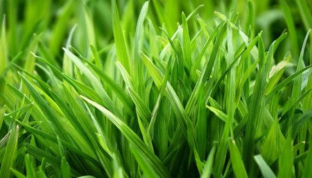 green blades of grass, AI generated image