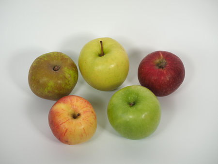 red and green apple fruits over light grey backgroundの写真素材